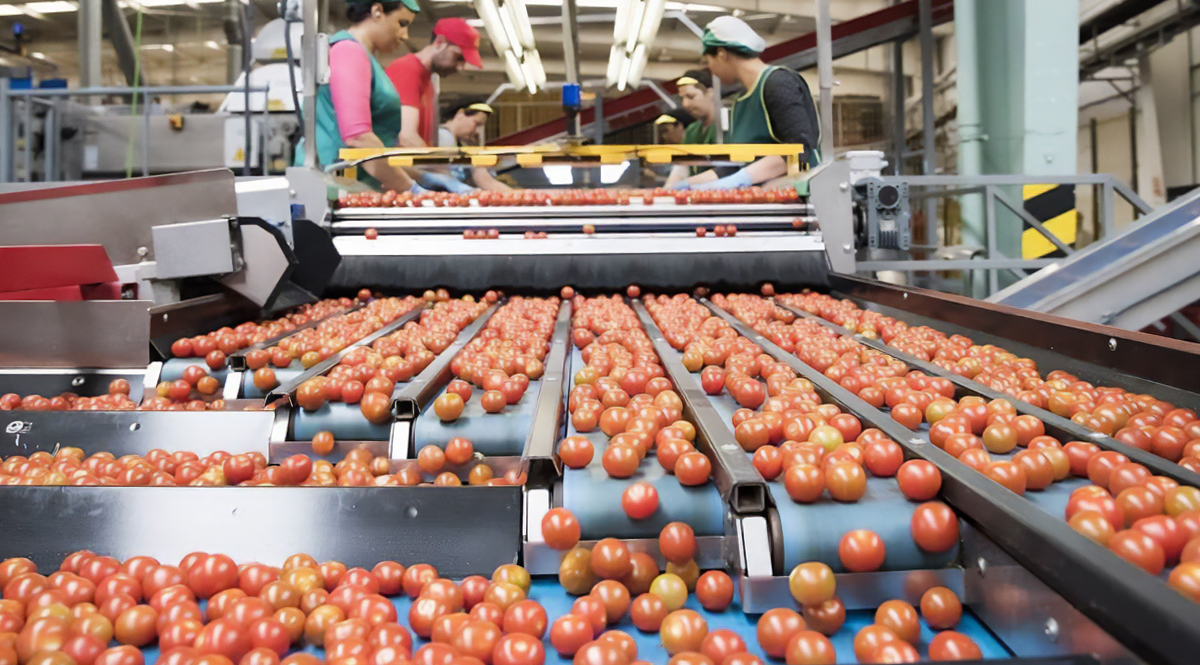 Cooperativa hortofrutícola con Synergy