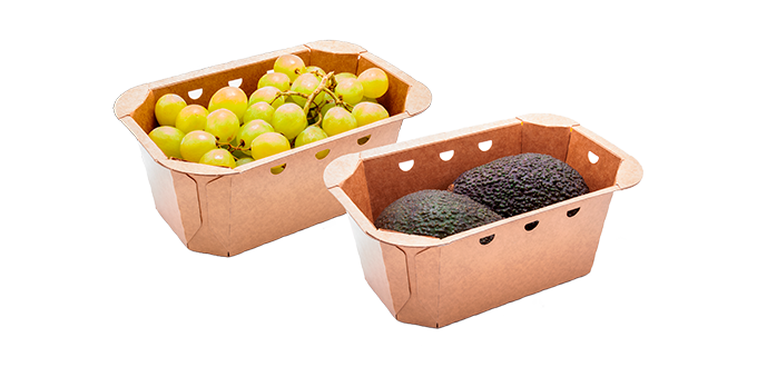 Synergy 37H85 con uvas y aguacates