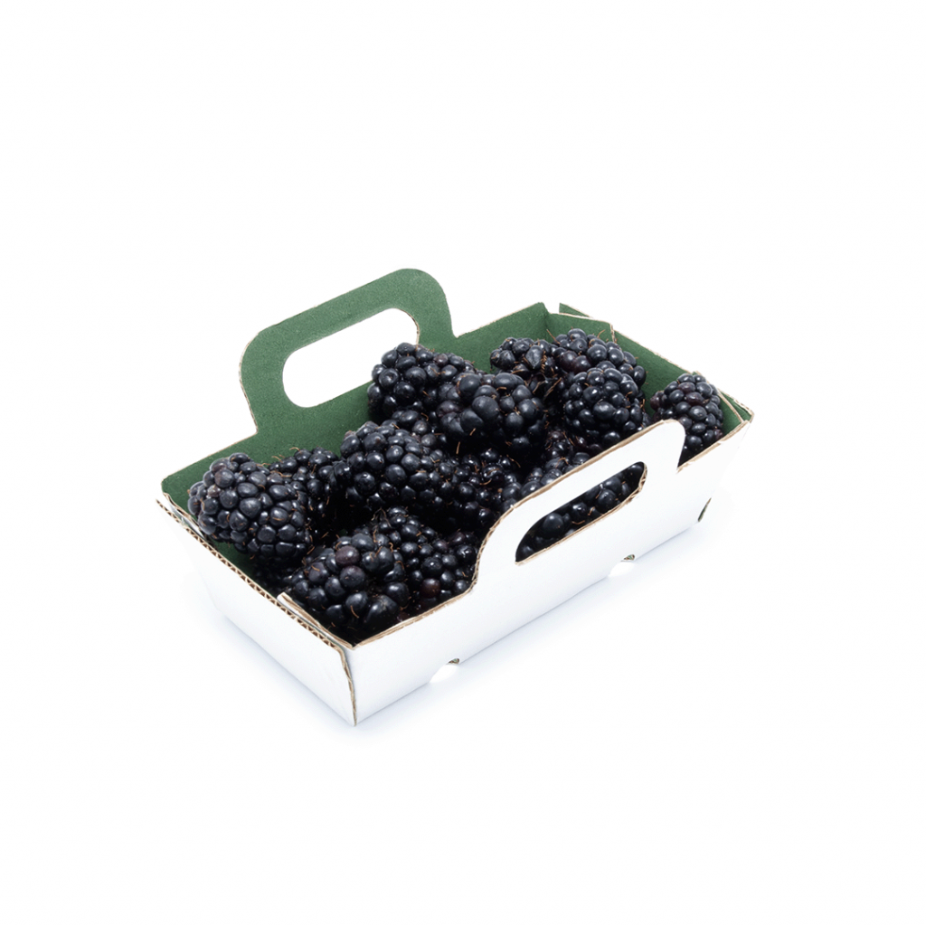 BARQUETA DE CARTÓN HORTOFRUTÍCOLA 106x52x35 RECTA ASAS ONDULADO MICROCANAL BLANCA