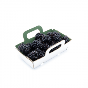 BARQUETA DE CARTÓN HORTOFRUTÍCOLA 106x52x35 RECTA ASAS ONDULADO MICROCANAL BLANCA
