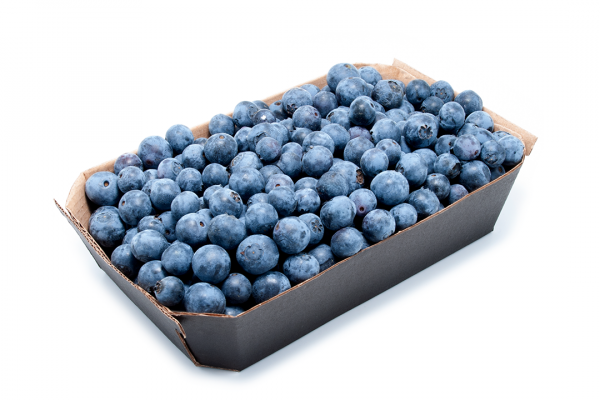 Barqueta de cartón con frutos silvestres - ENBOX