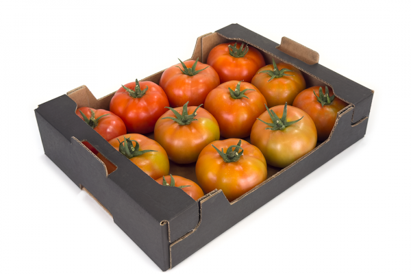 Caja de cartón para tomates - ENBOX