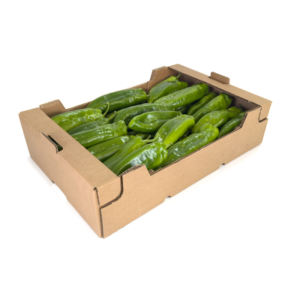 CAJA DE CARTÓN HORTOFRUTÍCOLA 600x400x145 RECTA TEJADILLO ONDULADO BC C4 CRUDA