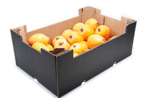Caja de cartón recta para frutas - ENBOX
