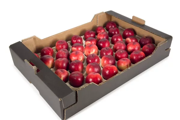 Caja de cartón Negra con Tejadillo y frutas - ENBOX