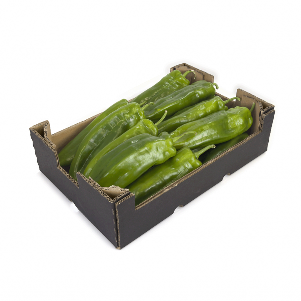 CAJA DE CARTÓN HORTOFRUTÍCOLA 400x260x105 RECTA COLUMNA ONDULADO BC C4 NEGRA