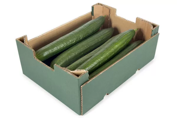 Caja de cartón Kraft Verde con hortalizas - ENBOX