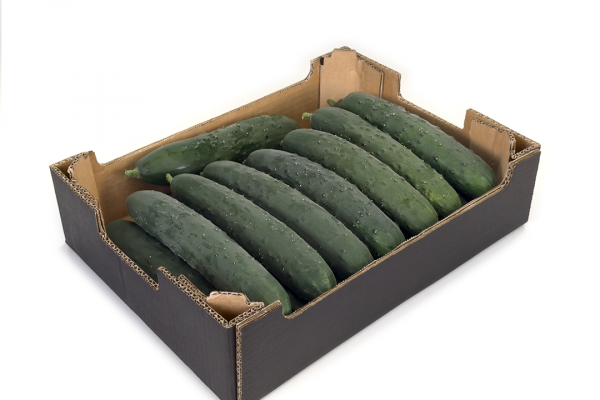 Caja de cartón con pepinos - ENBOX