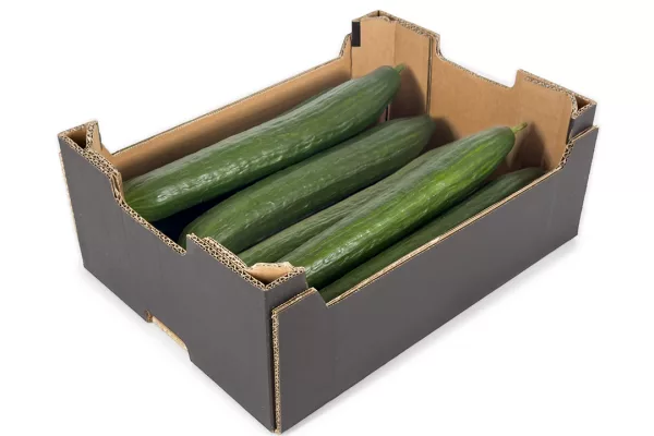 Caja Negra de cartón con Hortalizas - ENBOX