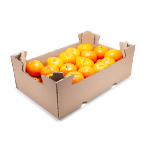 CAJA DE CARTÓN HORTOFRUTÍCOLA 300x200x105 RECTA COLUMNA ONDULADO EB C4 CRUDA
