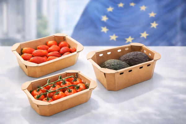 ilustracion_synergy_enbox_ue